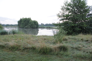 foto000019