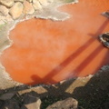 foto000102