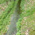 foto000011