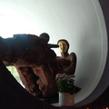 foto000016