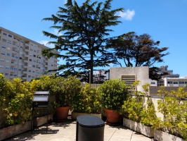 IMG 20190627 132307682