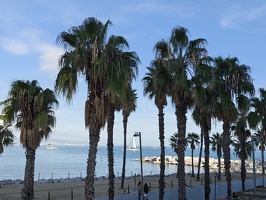 IMG 20251112 133738548 HDR